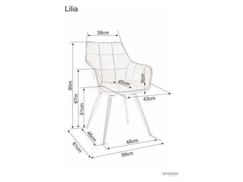 Стул SIGNAL LILIA VELVET черный каркас/серый BL.14 LILIAVCSZ фото