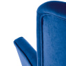 На фото спинка та підлокітник крісла DELGADO HALMAR (синій) 