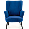 На фото вигляд спереду крісла DELGADO HALMAR (синій) 